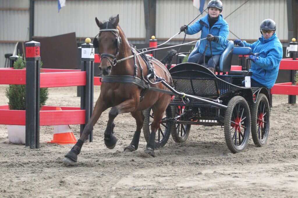 Jubileum Indoor Zwartewaal groot succes